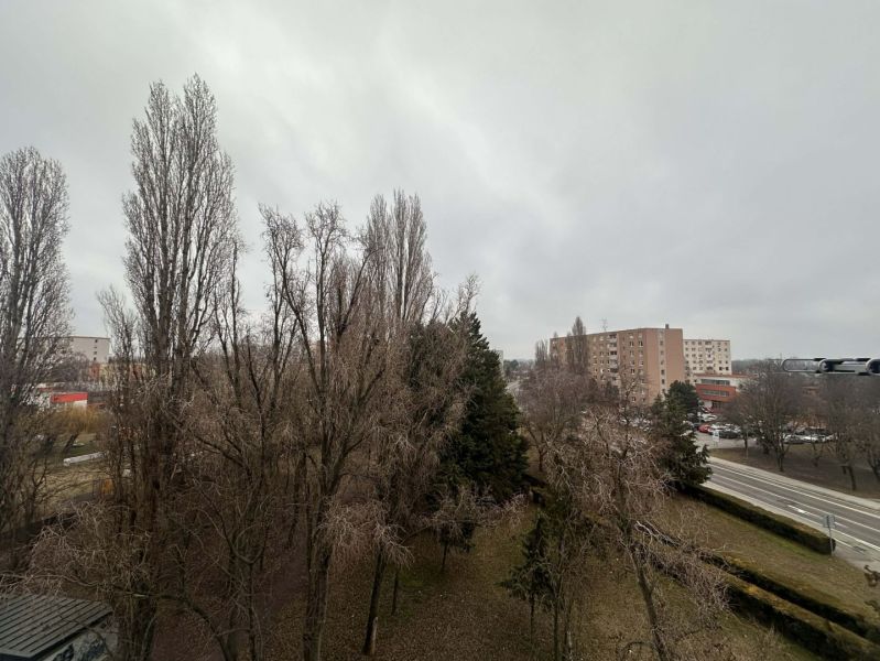 Sněhem pokryté stromy a sídliště v Dunajské Stredě, blízko rekreačního apartmánu.
