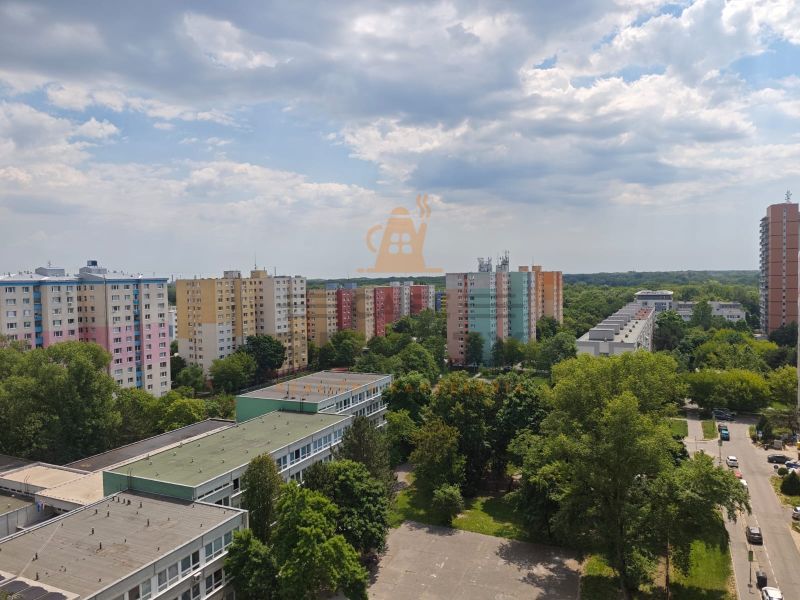 Bratislava-Petržalka, Lachova: Pestrobarevné bytovky obklopené zelení a městským prostředím.