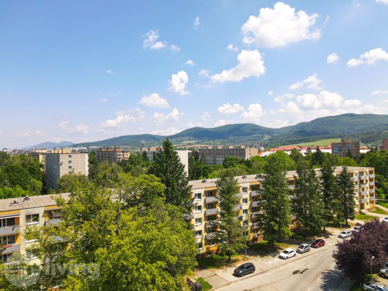 Pohled na obytné budovy obklopené zelení na Trenčianské ulici v Nové Dubnici.