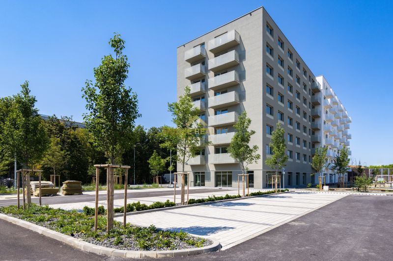 Bytový dům na Ivanské cestě v Ružinově, Bratislava, obklopený zelení a parkováním.