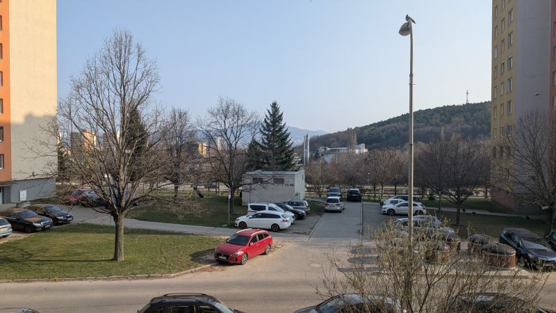 PXL_20260320_073311462.jpg