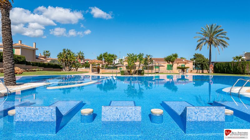 Bazén obklopený palmami v rekreačním apartmánu Cala Murada Mallorca.
