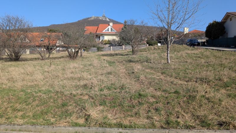 PXL_20260307_083702030.jpg