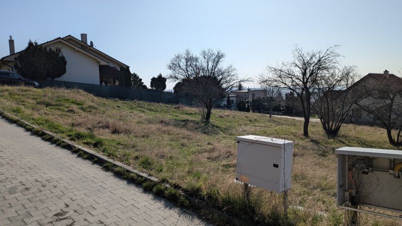 PXL_20260307_083611782.jpg