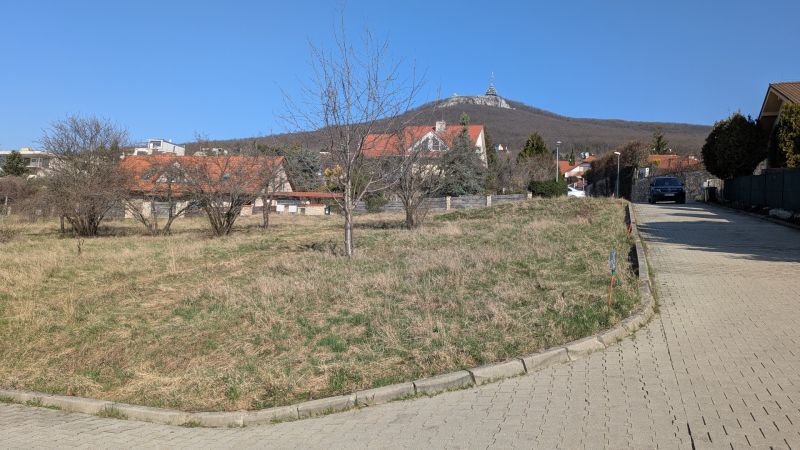 PXL_20260307_083712920.jpg