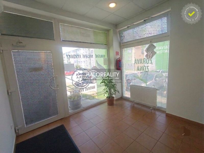 Obchodní prostory s dlažbou, velkými okny a rostlinou.