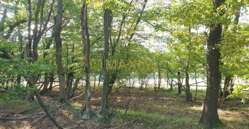 Kuchyňa Pozemky - rekreace prodej reality Malacky
