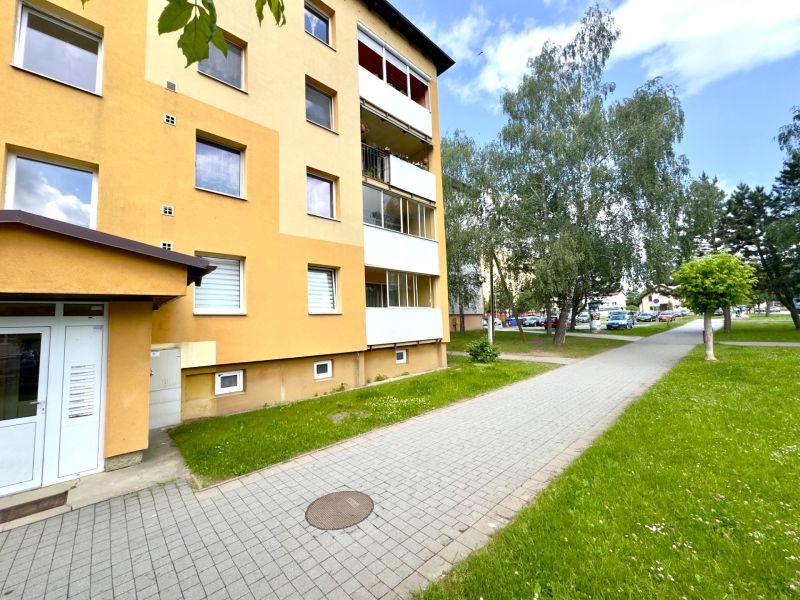 Exteriér bytovky v Lipanech se zelení vhodnou pro 4-pokojový byt.