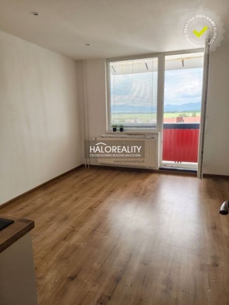 Garsonka s podlahou s dřevěným dekorem, velkým oknem a balkonem.