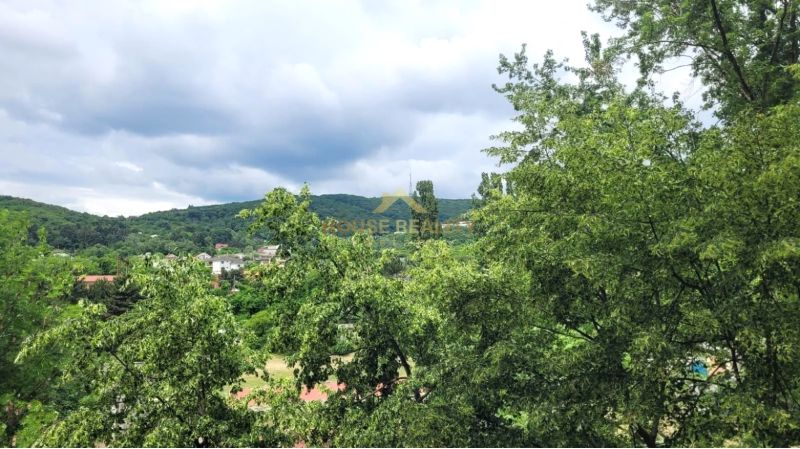 Pohled na zeleň v Bratislavě - Novém Městě z Teplické, obklopený kopci.