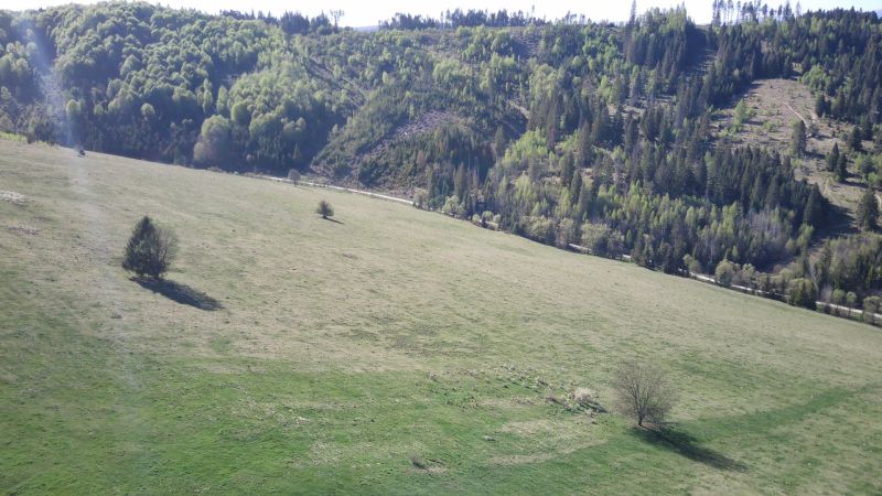 Panoráma zemědělských a lesních pozemků u Černého Balogu s jednotlivými stromy.
