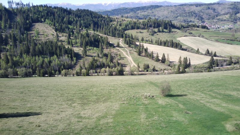 Zemědělské a lesní pozemky v Černém Balogu s kopci, lesy a cestou v krajině.