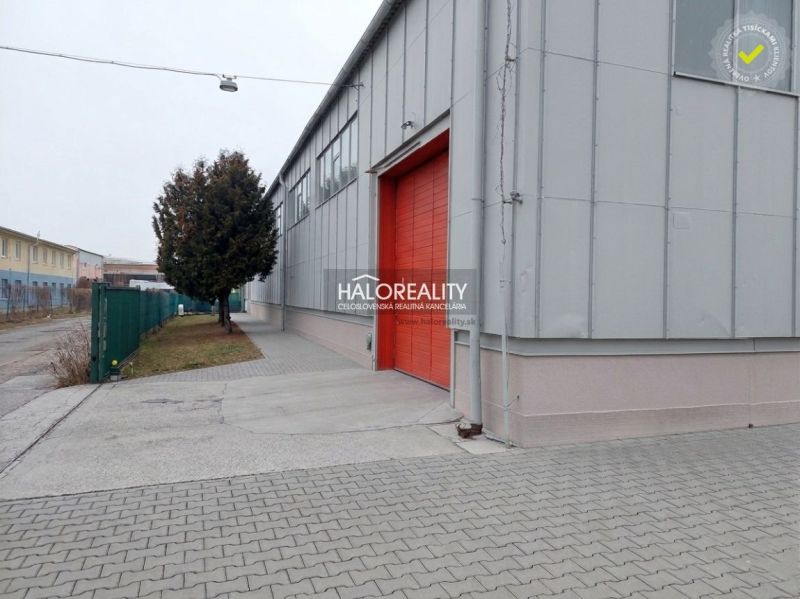Exteriér kanceláří v KE - Džungle s červenými dveřmi a chodníkem z dlažby.