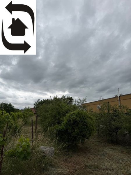 Zahrada v Bratislavě - Jarovcích s bohatou vegetací na pozemku určeném k bydlení.