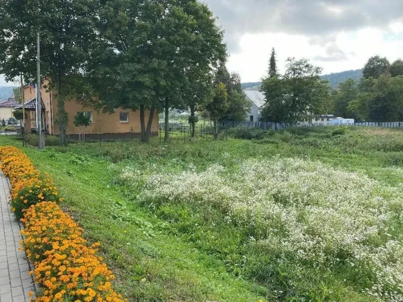 Pozemky na bydlení ve Slovenské Volové s krásnými květinami vedle chodníku.