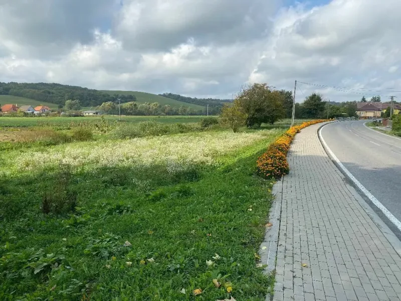 Cesta s květinovým pásem a blízká pole ve Slovenské Volové nabízejí klidné možnosti bydlení.