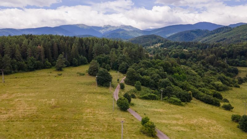 Příroda obklopující Horní Lehotu s lesy a cestou mezi loukami.