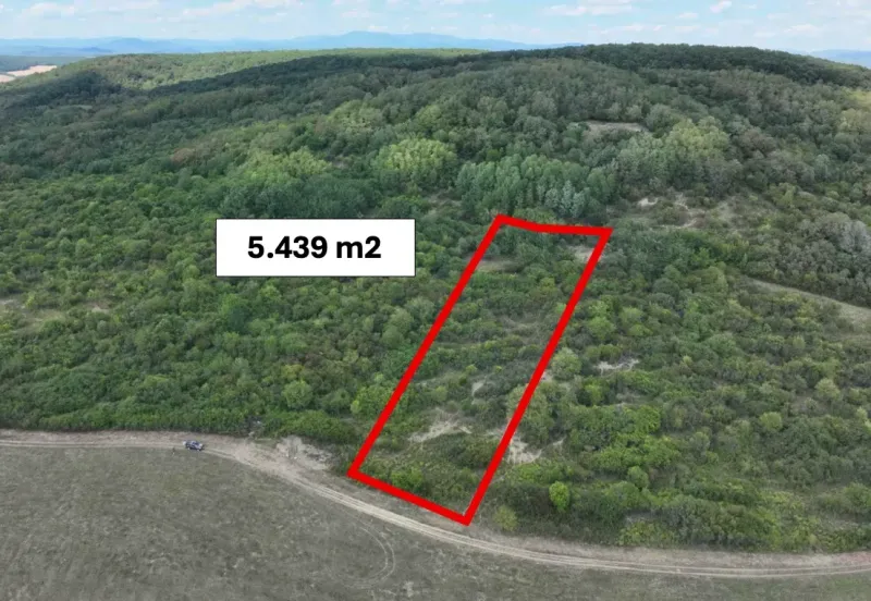 Zemědělské a lesní pozemky v Tornaľi s výměrou 5 439 m², obklopené zelení.
