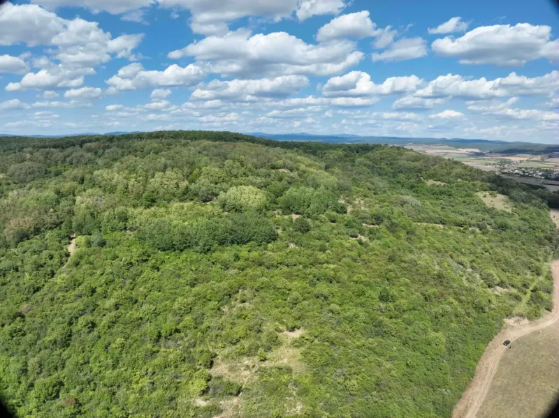 Louky a lesy kolem Tornele, zemědělské a lesní pozemky, pod modrou oblohou.
