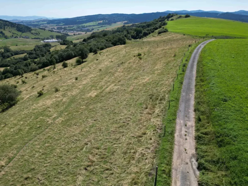 Kopcovitá krajina se zelenými loukami a polní cestou u města Stará Ľubovňa, Zvláštní nemovitosti.