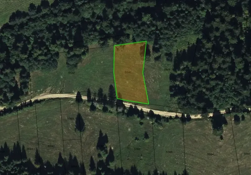 Louka se zelenými hranicemi parcely, obklopená lesy ve Staré Ľubovni - Zvláštní nemovitosti.