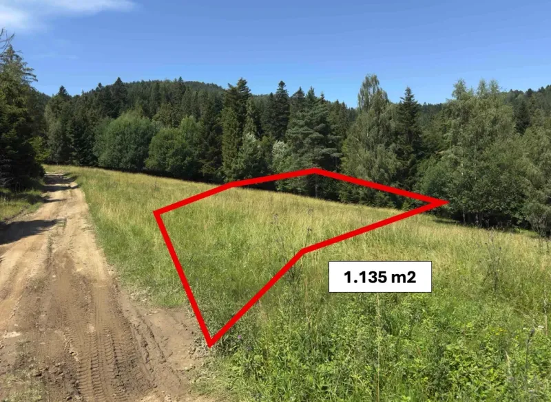 Pozemek u lesa v oblasti Staré Ľubovně, s označenou rozlohou 1.135 m², Zvláštní nemovitosti.