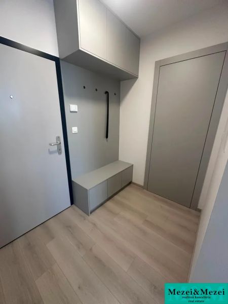Vstupní chodba v 2pokojovém bytě s podlahou s dřevěným dekorem a úložným prostorem.