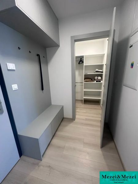 Vstupní chodba se skříní a podlahou s dřevěným dekorem v 2-pokojovém bytě.