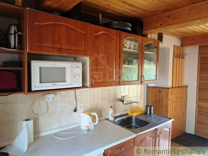 Kuchyně s dřevěným stropem a skříňkami, mikrovlnka, dřez, varná konvice.