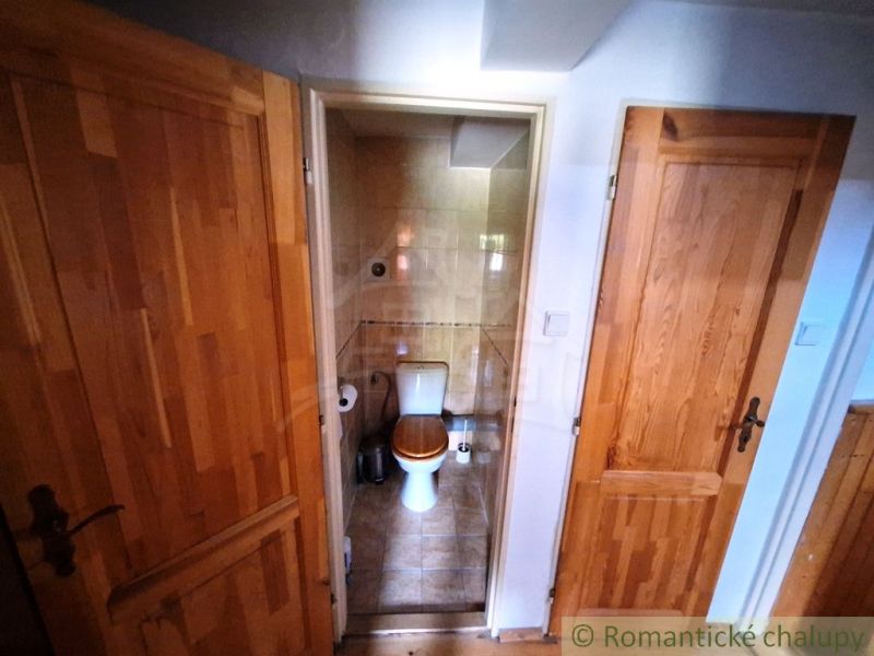Malá koupelna s toaletou, dvoje dveře, podlaha s dřevěným dekorem.