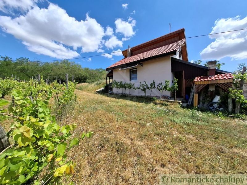 Chata u Gbelců obklopená vinicemi a zelenou krajinou pod modrou oblohou.