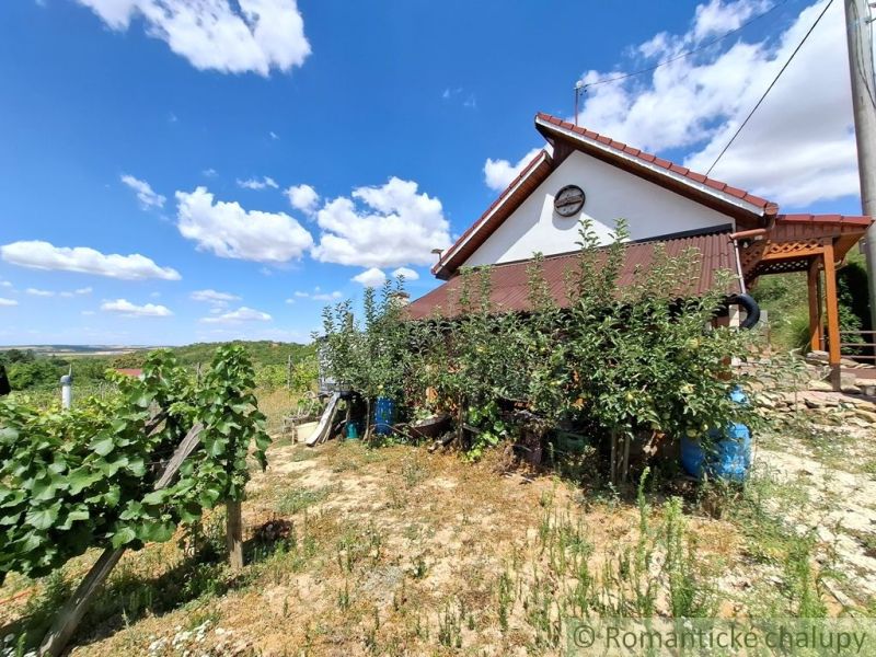 Chata v Gbelcích obklopená vinicemi a zelení pod modrou oblohou.