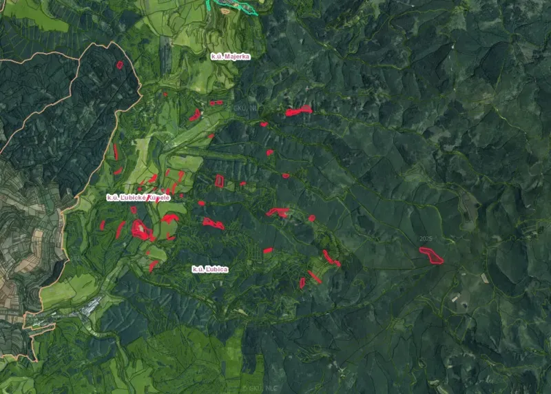 Mapa ukazuje zemědělské a lesní pozemky v okolí Ľubice, označené červenou barvou.
