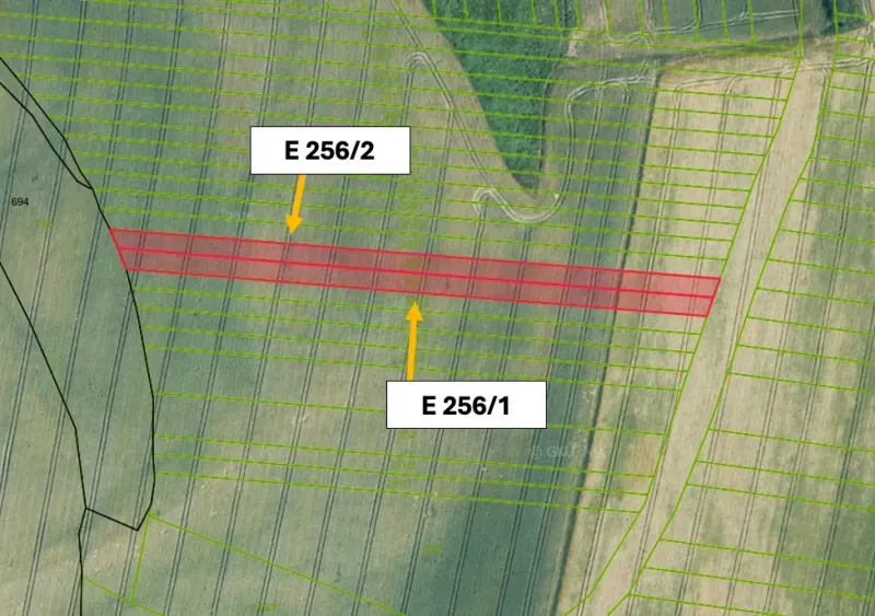 Katastrální mapa zobrazuje rozdělení zemědělských a lesních pozemků v Medzanech.