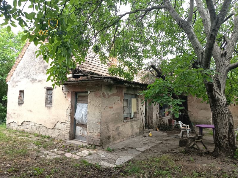 Starší rodinný dům v Nových Zámcích, obklopený stromy a zanedbanou zahradou.