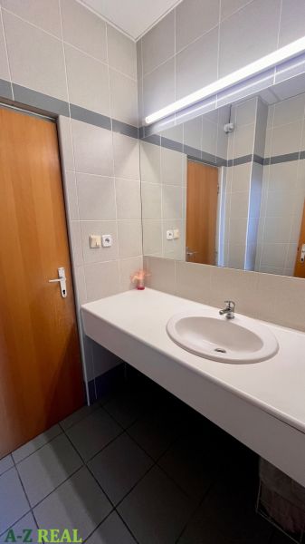 Koupelna s umyvadlem, zrcadlem a dřevěnými dveřmi v kanceláři.