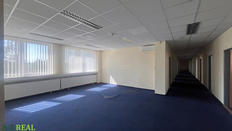 Kanceláře s modrým kobercem, velkými okny a podhledovým stropem na Drieňové ulici.