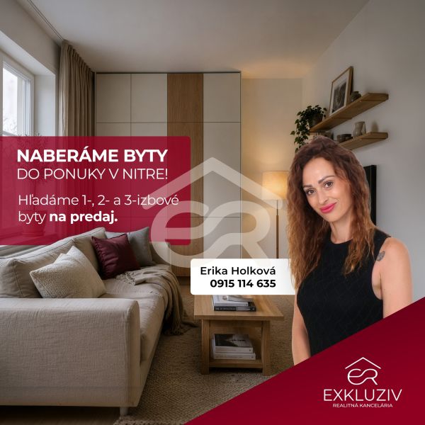 Interiér 1-pokojového bytu s pohovkou, dřevěným dekorem a dekoracemi.