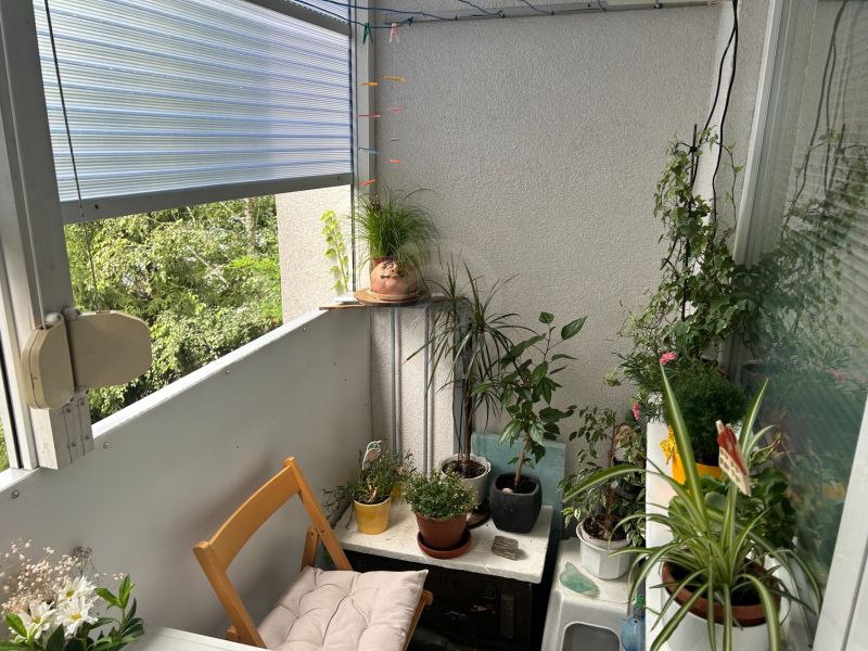 Zátiší balkónu 3pokojového bytu s rostlinami a dřevěnou židlí.