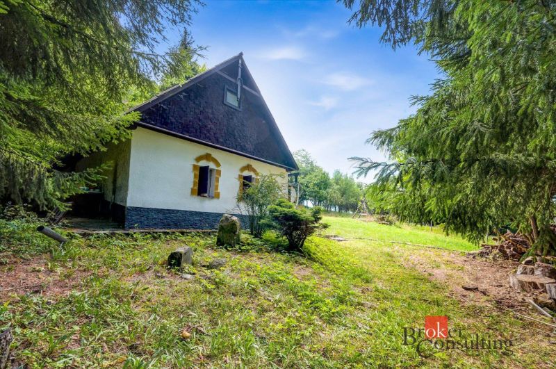Chata v Píle obklopená zelení a jehličnatými stromy, ideální na relaxaci.