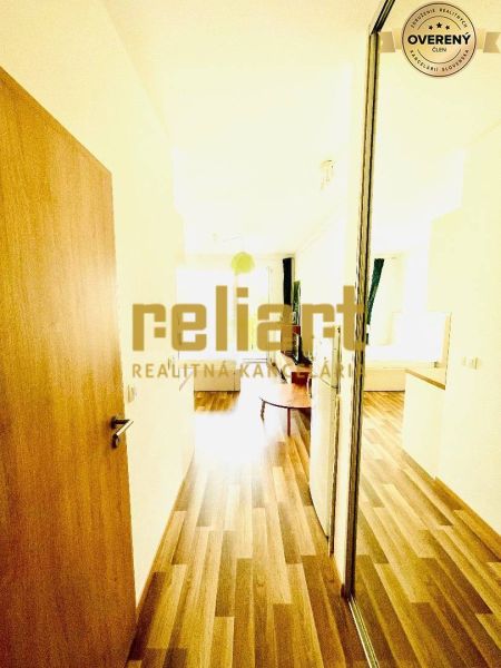 Vstupní chodba v 1-pokojovém bytě s podlahou s dřevěným dekorem a zrcadlovou skříní.