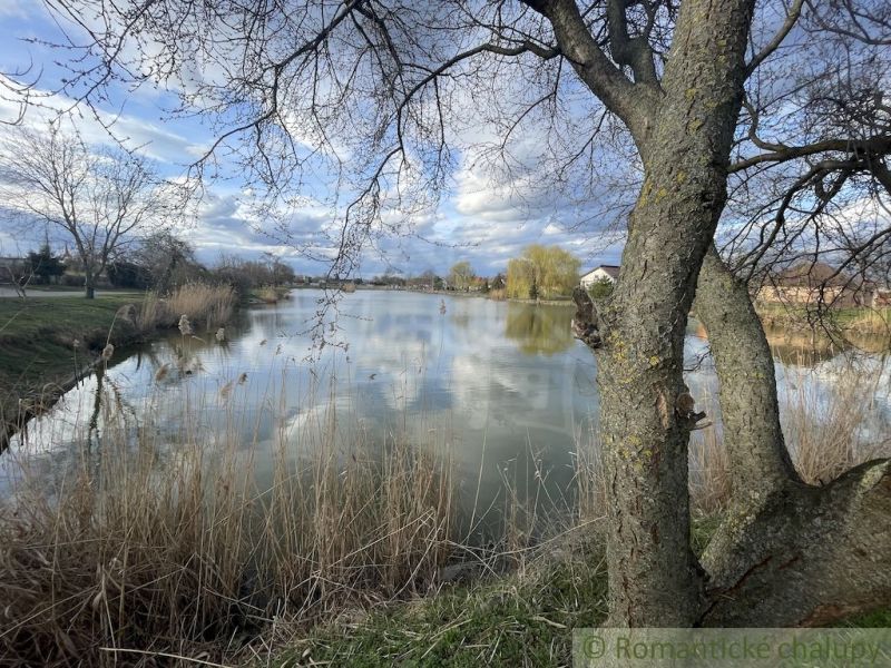 Jezero obklopené stromy a rákosím v prostředí u rodinných domů v Tvrdošovcích.
