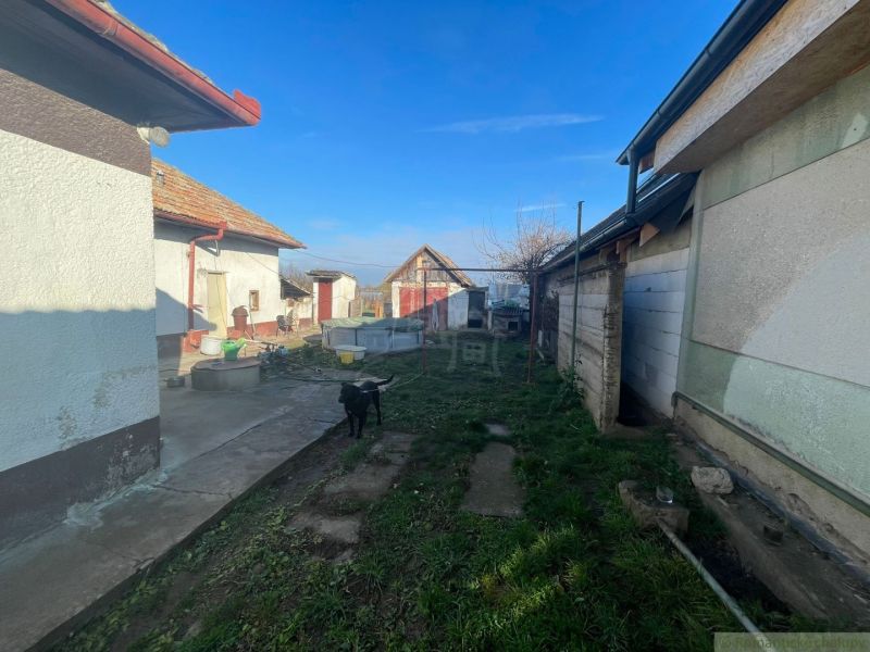 Dvůr rodinného domu v Tvrdošovcích s trávníkem, psem a hospodářskými budovami.