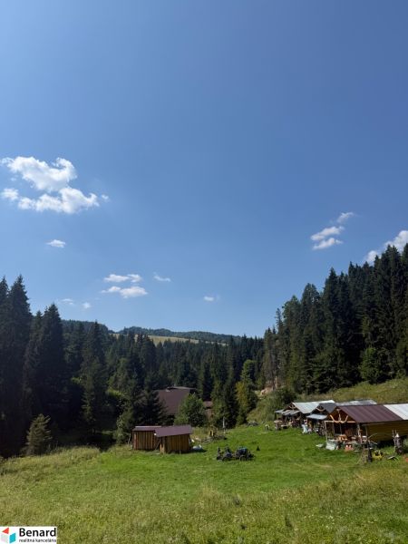 Rekreační pozemky v Litmanové obklopené lesy a modrou oblohou.