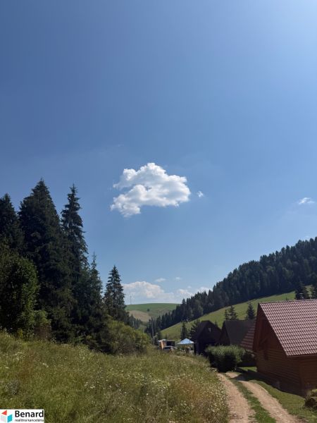 Rekreační pozemky v Litmanové s lesem, cestou a dřevěnými chatkami pod modrou oblohou.