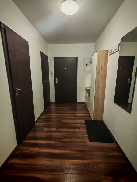 Vstupní hala 2pokojového bytu s podlahou s dřevěným dekorem a věšákem.