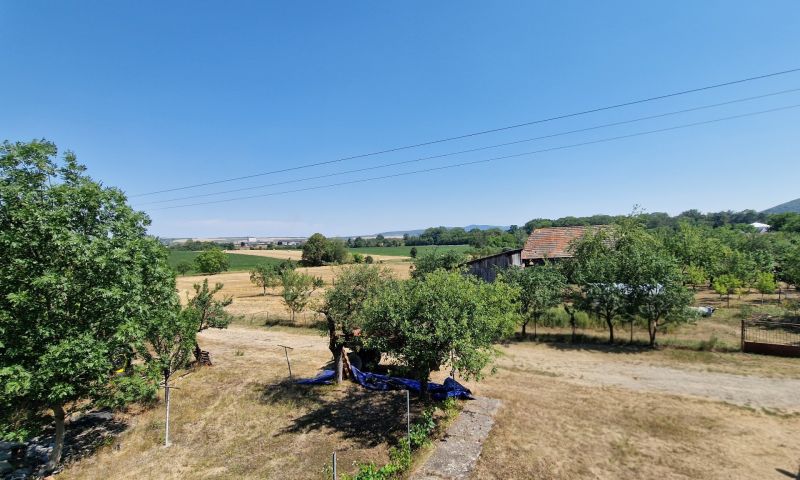 Krajina v okolí rodinného domu na ulici Biela v Kazimíri s ovocnými stromy.