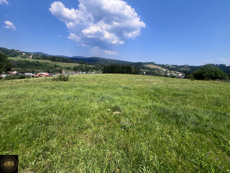 Zelené louky v Olešné vhodné pro pozemky - bydlení, obklopené přírodou a kopci.