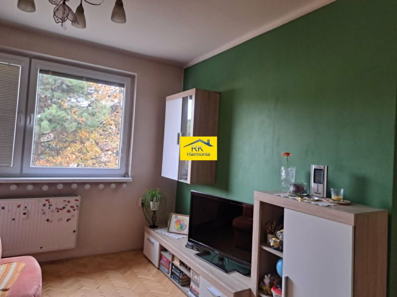 Obývací pokoj s dřevěným dekorem, televizí a zelenou stěnou v 2pokojovém bytě.