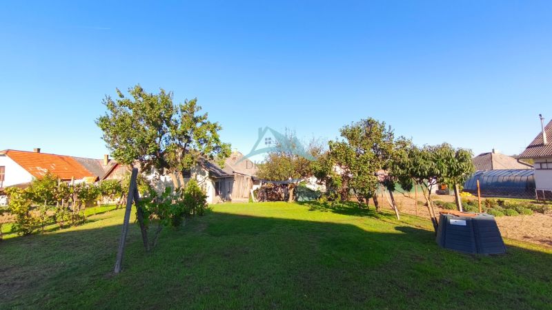 Zahrada u rodinného domu v Čebovcích s ovocnými stromy a vinnou révou.